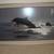 Two Dolphin Pictures with frames  34” X 22” 2 thumbnail