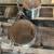 Tam Drum set 8 thumbnail