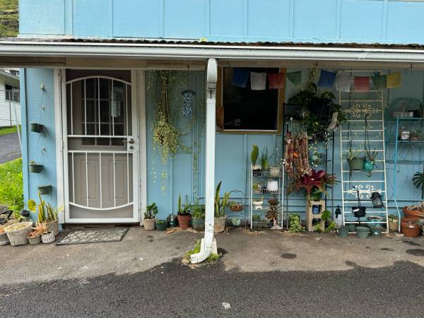 $2,250 / 1br - 900ft2 - 1 Bed/1 Bath in Breezy Palolo Valley (Utilities included) (Honolulu)63939666959362123