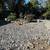 Landscaping and maintenance services (SONOMA COUNTY) 6 thumbnail