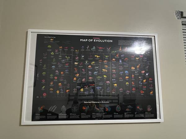 wall decoration 1