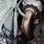 2013 Volkswagen Passat SEL TDI 16 thumbnail
