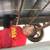 SURVEILLANCE CAMERAS, CAT6 NETWORK CABLING, WHOLESALE EQUIPMENT PRICES 13 thumbnail
