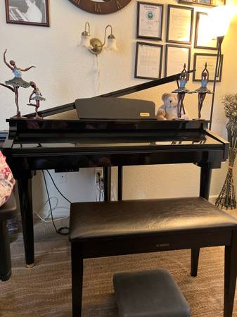 PIANO LESSONS AND INSTRUCTIONS,(SALINAS & MONTEREY AREA) 1