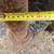 American Compaction 36" Compaction Wheel 3 thumbnail