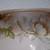 Vintage Austrian Porcelain Serving Dish – Elegant Peony & Gold Details 3 thumbnail