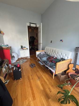 $2,875 / 2br - Two bed in the heart of Bushwick, L train, Morgan stop (Bushwick)63874742447875120