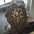 African Braiding and Locs 10 thumbnail