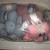 Darlaine’s Woodblend Brushed Afghan yarn kit with instructions,Vintage 2 thumbnail