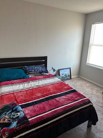 $800 Immediate move in near sea world (Silos)63681044917763121