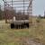 Farm equipment 3 thumbnail