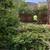 Tree service and Yard clean ups at the BEST price! Monthly specials!!! 16 thumbnail