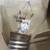 GE Incandescent Microwave Appliance Light Bulb Clear 6 thumbnail