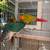 Conure 2 thumbnail