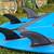 6'8" Vernor Epoxy Scorpion Step Up Surfboard 3 thumbnail