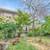 Craftsmen Beauty*Freshly Remodeled*Walk to College Ave 14 thumbnail