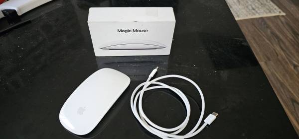 Apple Magic Mouse 1