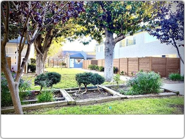 $1,625 / 495ft2 - Your dog or cat is welcome! Amazing pet-friendly Loft! (Lompoc - Lompoc Flower Fields)63663990235649120