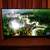 50inch SCEPTRE Non Smart TV 1 thumbnail