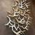 Whitetail deer shed antlers crafting rattling hunting sheds 2 thumbnail
