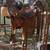 Roping saddle 15” 2 thumbnail