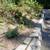LANDSCAPING MAINTENANCE 8 thumbnail