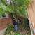 🌲☘️🌳🌳🌳🌳🌳🌲🪴AFFORDABLE TREE AND LANDSCAPE SERVICE INC 15 thumbnail