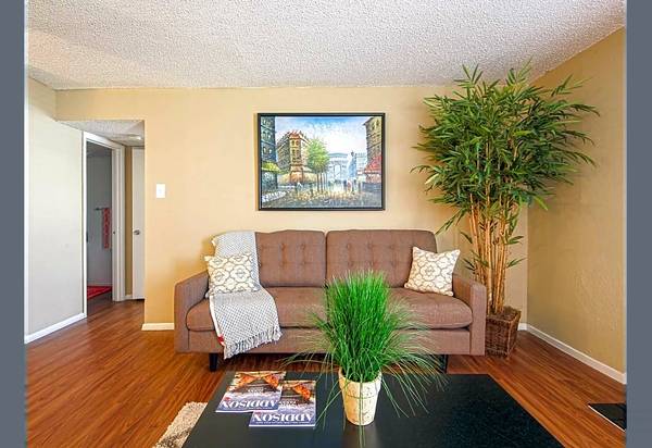 $1,260 / 1br - 650ft2 - $$$$$$$  ONE MONTH FREEEEEEE ----WE'RE WAITING FOR YOU $$$$$$ (Addison)63796350797827123