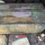 Spiny tail lizard 3 thumbnail