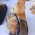 Mid Century Modern items / decor, beautiful vintage pieces $35 to $50 5 thumbnail