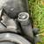 Ford OEM headlight and turn signals 6 thumbnail