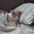 Comfy Pet Solutions -- New Services! 8 thumbnail