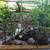 POND BUILDER LANDSCAPE DESIGNER 5 thumbnail