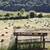Hay Bales - Grass 2 thumbnail