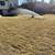 Irrigation-Sprinkler Systems Installs and Repairs 9 thumbnail