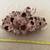 Shells decoration 1 thumbnail