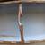 16' MAD RIVER EXPLORER CANOE 4 thumbnail
