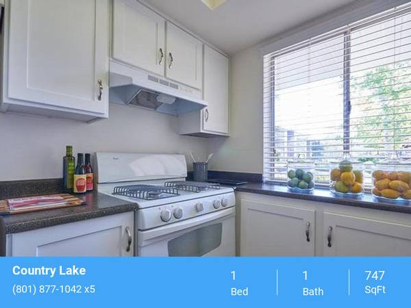 $1,241 / 1br - 747ft2 - Professional Management, Oversized Closets (Millcreek)63671024596609121