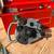 Ridgid 300 threading machine and oil pump plus 2 groover 14 thumbnail