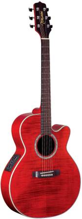 Takamine series G 1