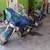 HARLEY DAVIDSON 1 thumbnail