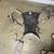Ergo Baby 360 Carrier 1 thumbnail