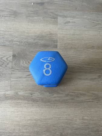 8lb Neoprene Dumbbells 1