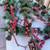 Berry and pine Garland (x10) 3 thumbnail