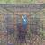 Commercial style blue crab traps pots 3 thumbnail