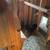 Chickens 1 thumbnail