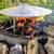 Fire Pit Campfire Ring - Covers - Grills - Rotissories 11 thumbnail