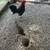 Bantams 2 thumbnail