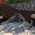 Landscaping and maintenance 23 thumbnail