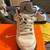 Jordan 5 concrete size 6 2 thumbnail